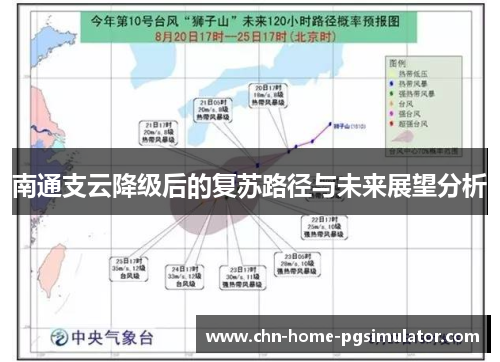 南通支云降级后的复苏路径与未来展望分析