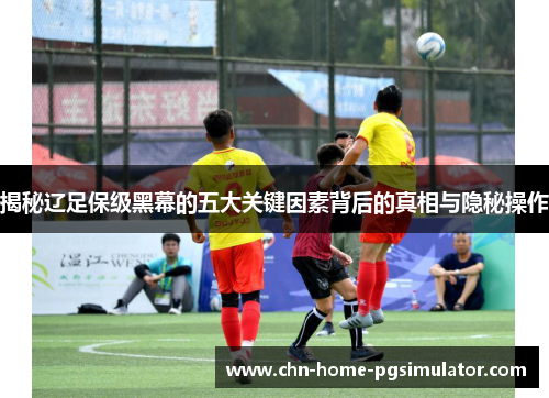 揭秘辽足保级黑幕的五大关键因素背后的真相与隐秘操作