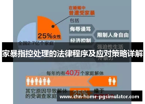 家暴指控处理的法律程序及应对策略详解