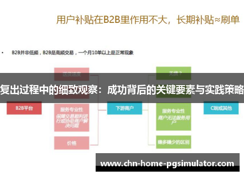 复出过程中的细致观察：成功背后的关键要素与实践策略