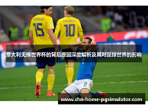 意大利无缘世界杯的背后原因深度解析及其对足球世界的影响