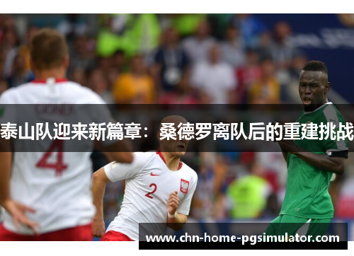 泰山队迎来新篇章：桑德罗离队后的重建挑战