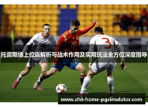 托雷斯场上位置解析与战术作用及实用玩法全方位深度指导