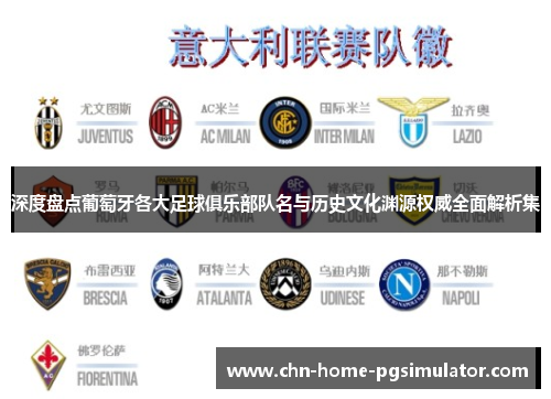 深度盘点葡萄牙各大足球俱乐部队名与历史文化渊源权威全面解析集