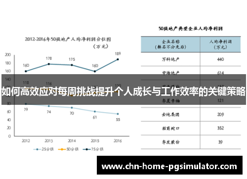 如何高效应对每周挑战提升个人成长与工作效率的关键策略